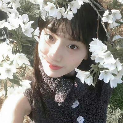 茉迪的彩色小屋